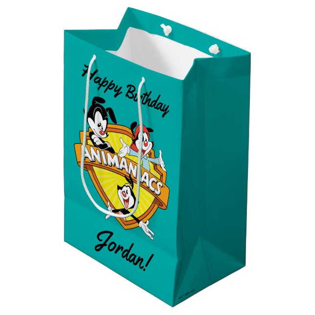 Animaniacs | Warner Brothers & Sister WB Shield Medium Gift Bag (Front Angled)