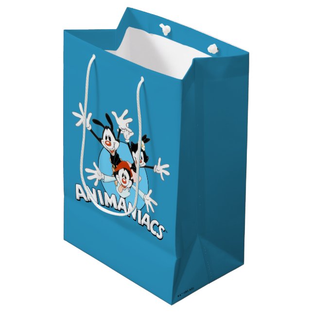 Animaniacs | Warner Siblings Arms Wide Graphic Medium Gift Bag (Front Angled)