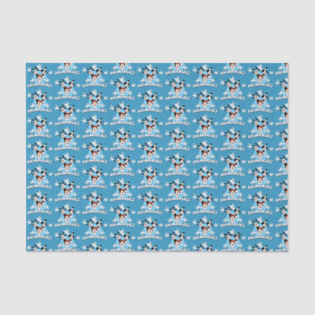 Animaniacs | Warner Siblings Arms Wide Graphic Tissue Paper (Front)