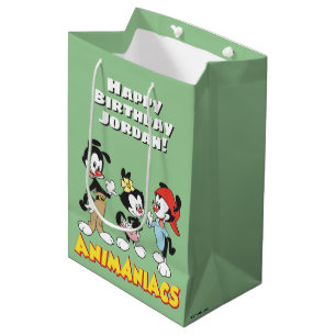 Animaniacs Yakko, Dot, and Wakko Standing Medium Gift Bag