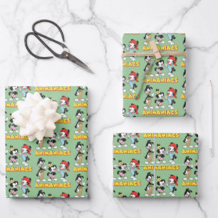 Animaniacs   Yakko, Dot, and Wakko Standing Wrapping Paper Sheet