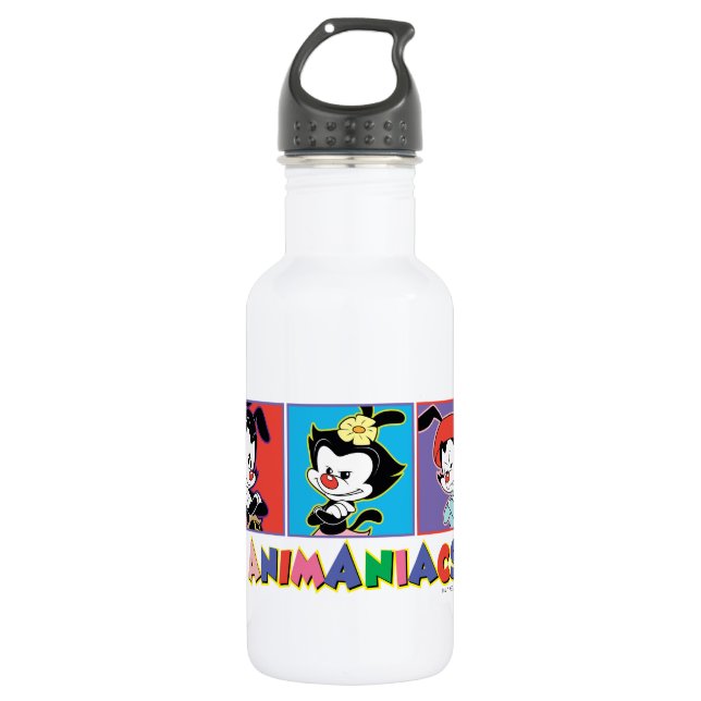 Animaniacs | Yakko, Dot, & Wakko Panel Graphic 532 Ml Water Bottle (Front)