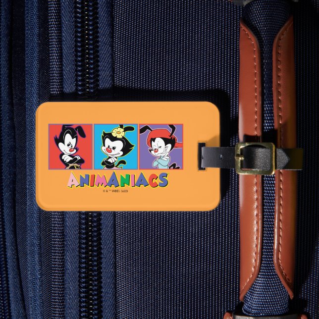 Animaniacs | Yakko, Dot, & Wakko Panel Graphic Luggage Tag (Front Insitu 4)