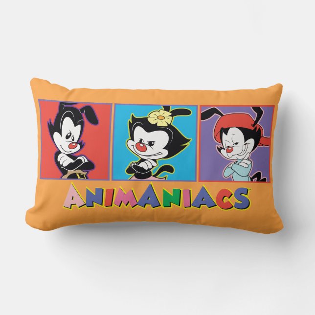Animaniacs | Yakko, Dot, & Wakko Panel Graphic Lumbar Cushion (Front)