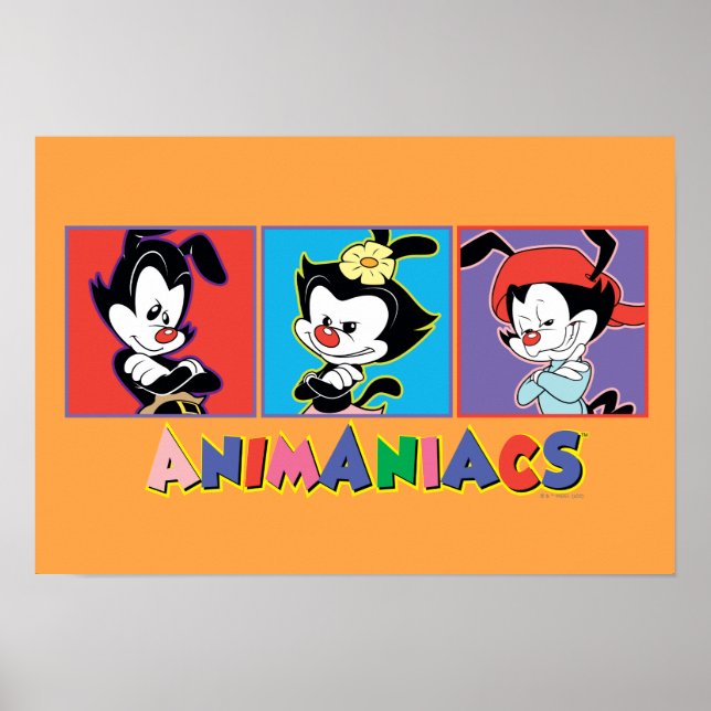 Animaniacs | Yakko, Dot, & Wakko Panel Graphic Poster (Front)