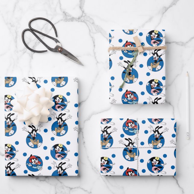 Animaniacs | Yakko, Wakko, & Dot Circle Pattern Wrapping Paper Sheet (Front)