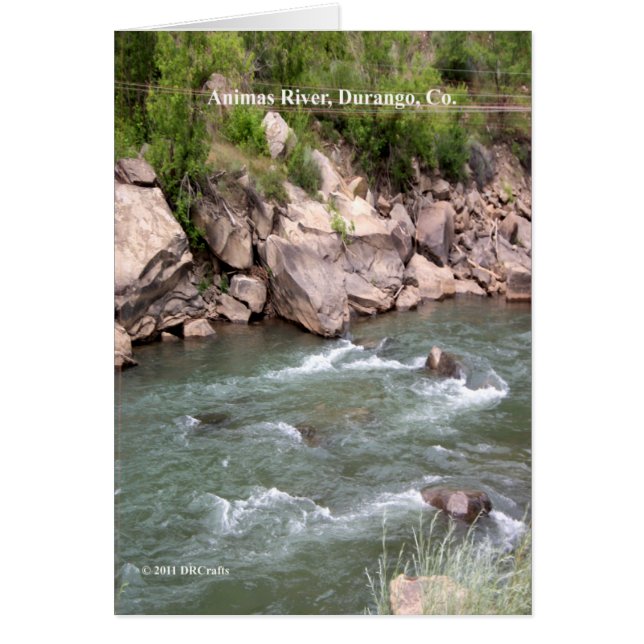 Animas River Rapids (Front)