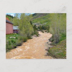 Animas River, Silverton, Colorado Postcard