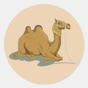 Animated Camel Classic Round Sticker