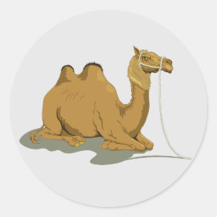 Animated Camel round sticker