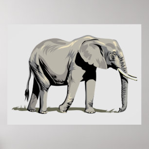 Animated Elephant   Poster