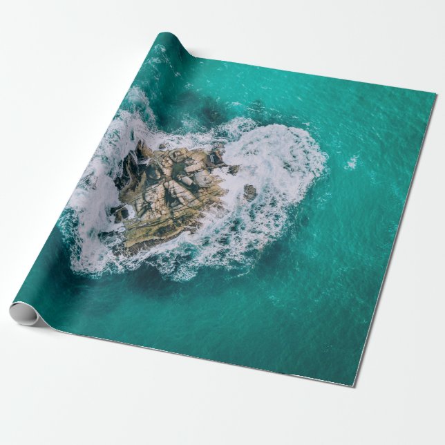 Animation character wrapping paper (Unrolled)