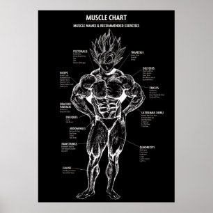Anime Anatomy Diagram, Muscle Chart - Motivational