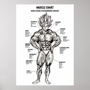 Anime Anatomy Diagram, Muscle Chart - Motivational