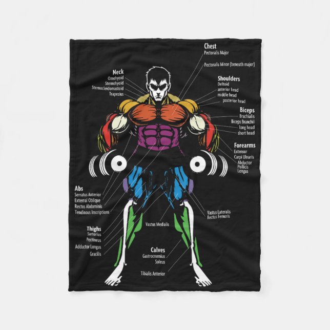 Anime Anatomy Muscle Chart  Fleece Blanket (Front)