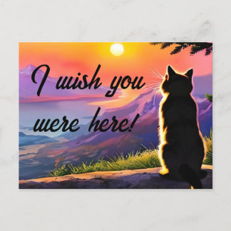 Anime cat in sunset postcard