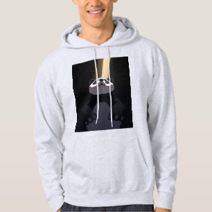 Anime panda hoodie