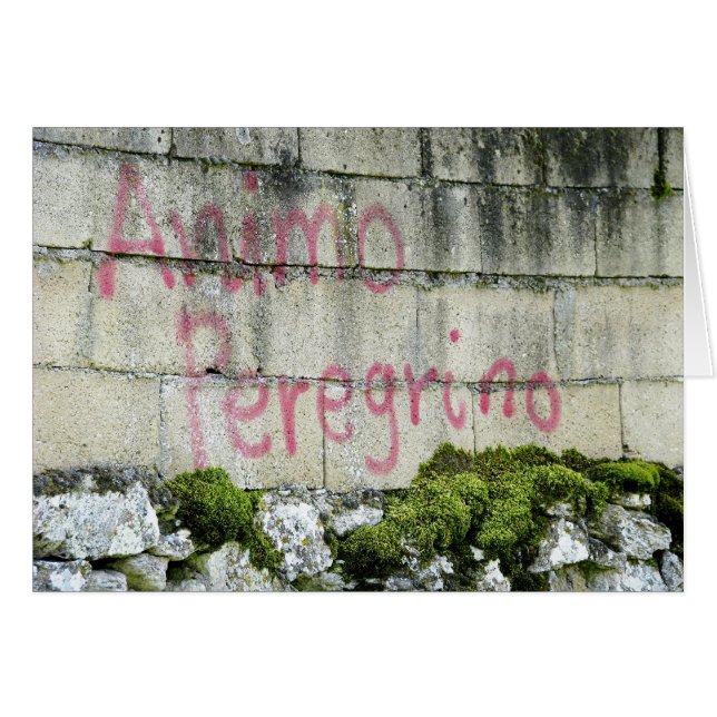 Animo Peregrino Card (Front Horizontal)