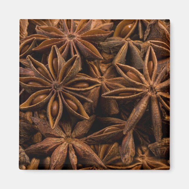 Anise Stars Pattern Magnet (Front)