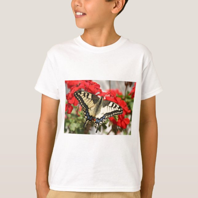 Anise Swallowtail Sweater (Front)