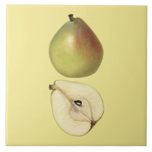 Anjou Pear Botanical Tile ~ Kitchen ~ Any Colour ~