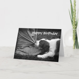 Ankle Biter Card