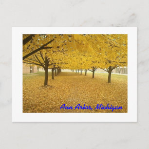 Ann Arbor in Fall Postcard
