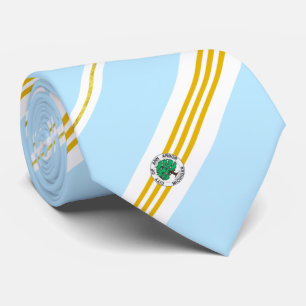 Ann Arbor (Michigan) city flag Neck Tie