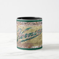 Ann Arbor Michigan Vernors Brick Wall Vintage