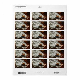 Ann Ford, 1760 by Thomas Gainsborough Label