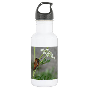 Ann"s Lace and bird 532 Ml Water Bottle