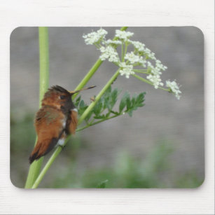Ann"s Lace and bird Mouse Mat