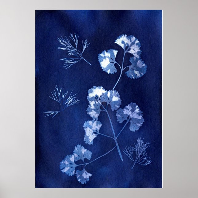 ANNA ATKINS POSTER (Front)