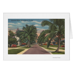 Anna Maria, Florida - View of Palms Along Street