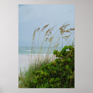 Anna Maria Island, Florida, beach scene Poster