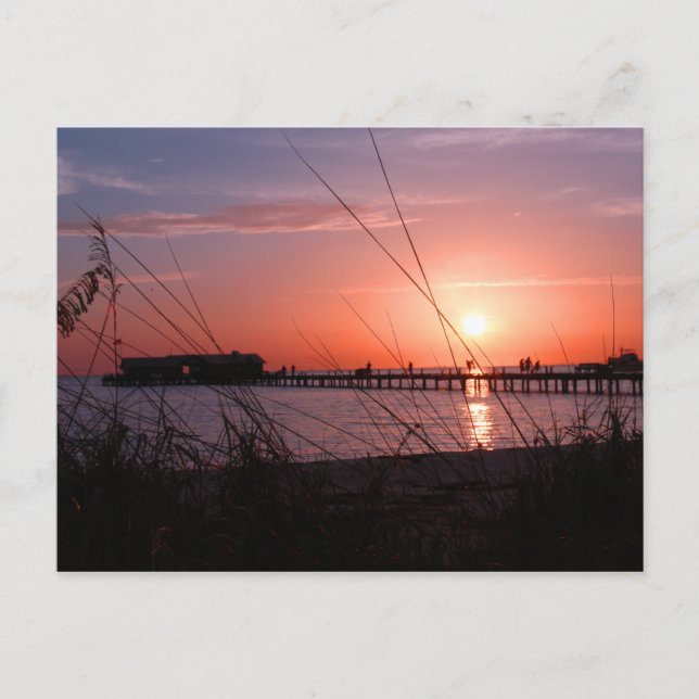 Anna Maria Sunrise Postcard (Front)