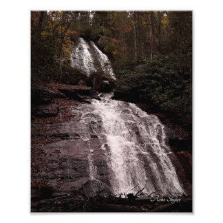 Anna Ruby Falls, Curtis Creek Photo Print
