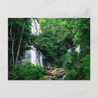 Anna Ruby Falls Postcard