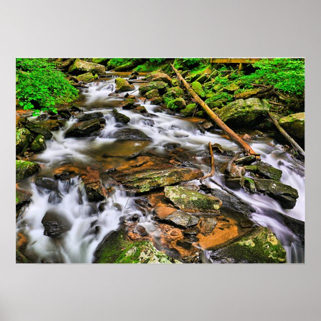 Anna Ruby Tumbles, Poster (Front)