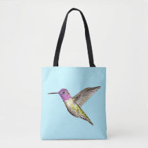 Anna’s Hummingbird Illustration