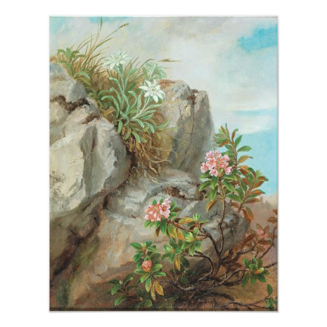 Anna Stainer-Knittel Vintage Alpine Roses Photo Print (Front)