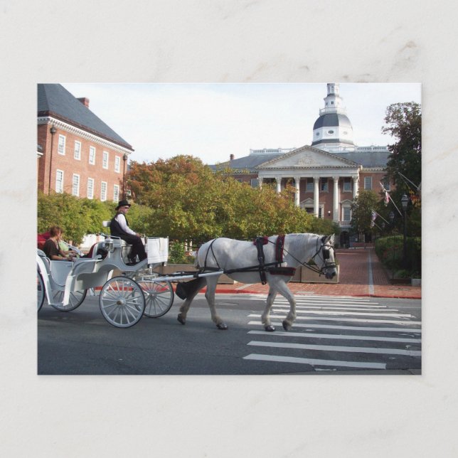 Annapolis Horse and Carriage Ride Postcard (Front)