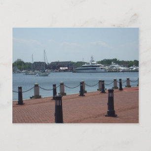 Annapolis Postcard