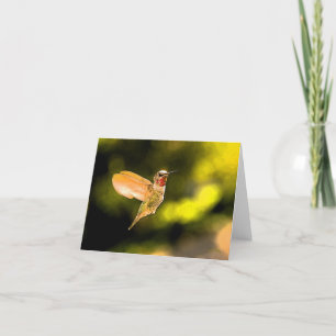 Anna's Hummingbird Card