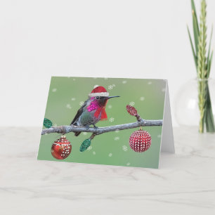 Anna's Hummingbird Christmas Holiday Card