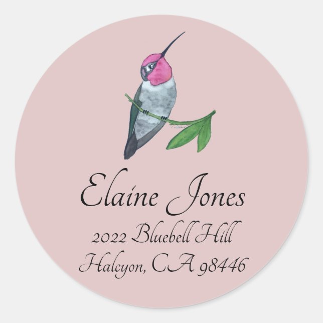 Anna's Hummingbird Classic Round Sticker (Front)