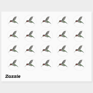 Anna's Hummingbird in Flight Classic Round Sticker