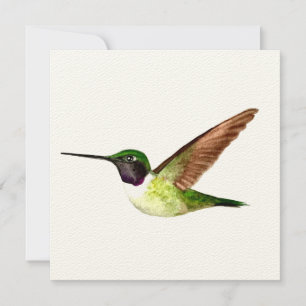 Anna's Hummingbird in Flight Thank You Card