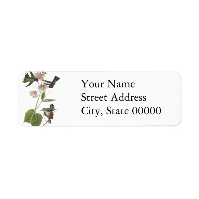 Anna's Hummingbird, James Audubon (Front)