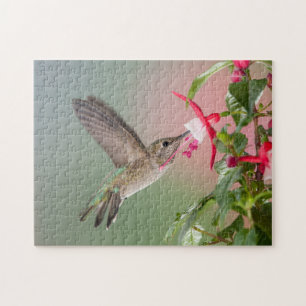 Anna's Hummingbird Jigsaw Puzzle